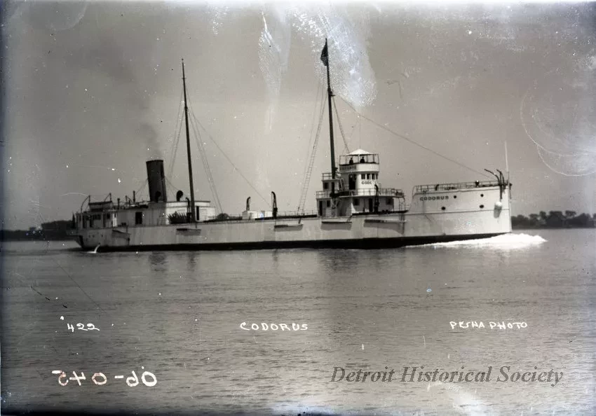 Negative, Glass-plate