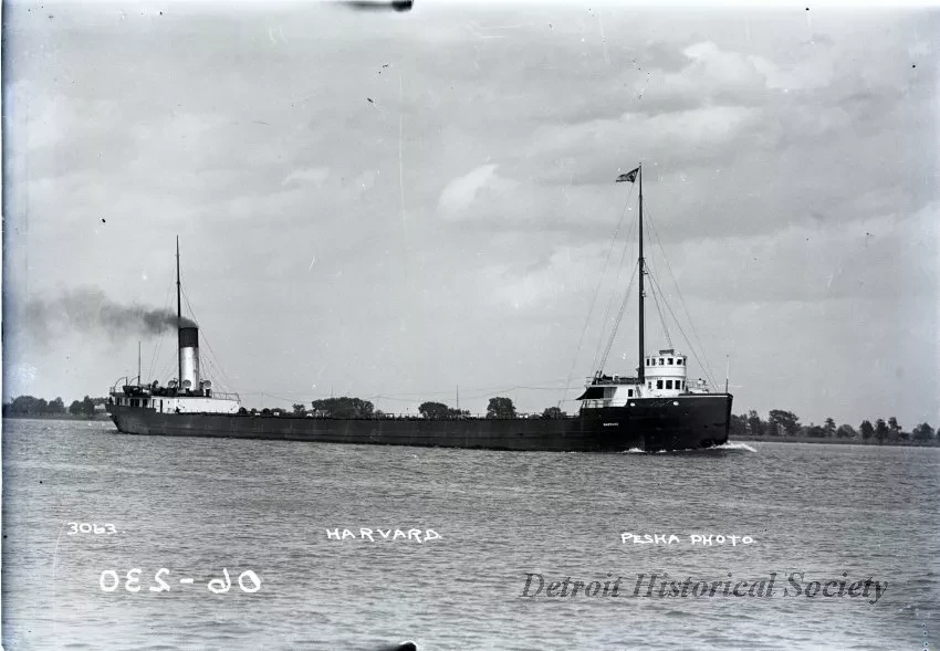 Negative, Glass-plate