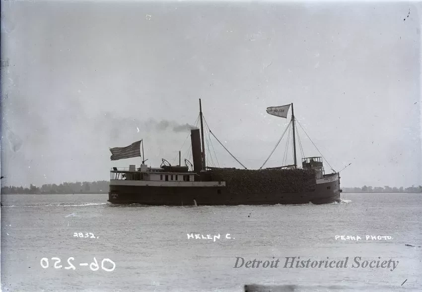 Negative, Glass-plate