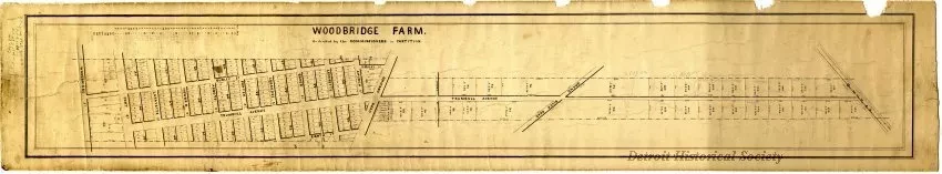 Map - Woodbridge Farm
As Divided by the Commissioners in Partition