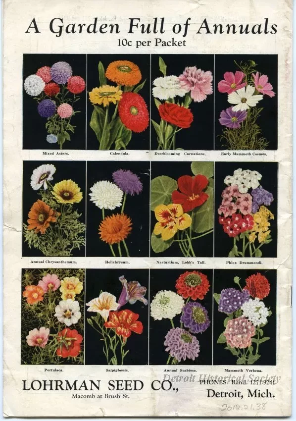 Catalog - 1930 Annual