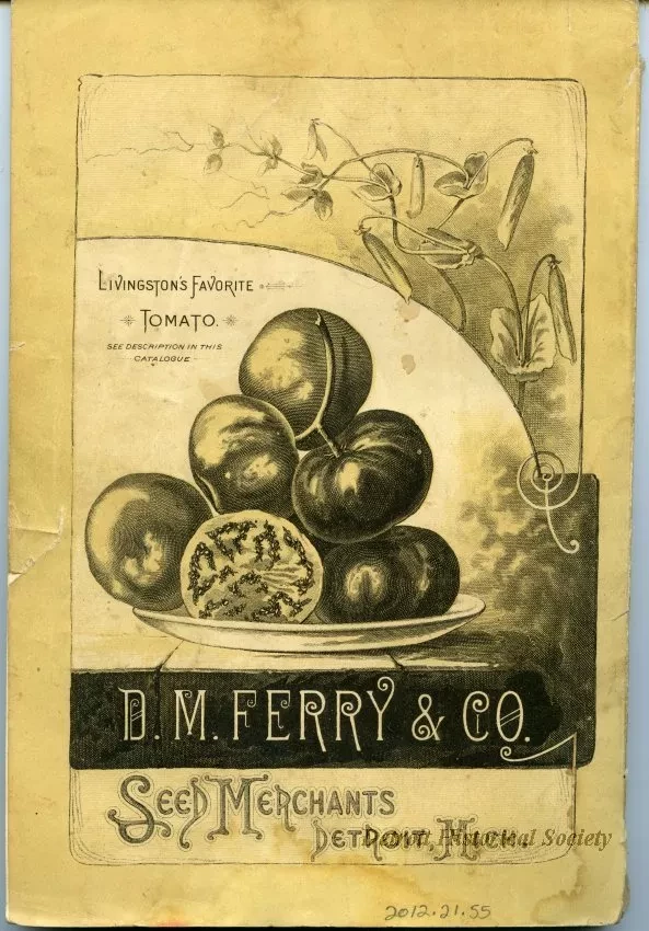 Catalog - Seed Annual 1884