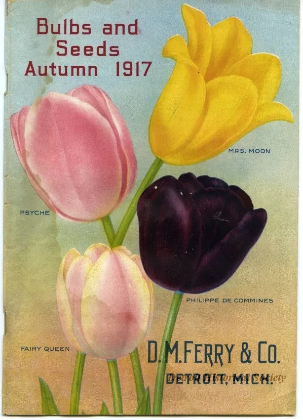 Catalogue - Bulbs & Seeds Autumn 1917