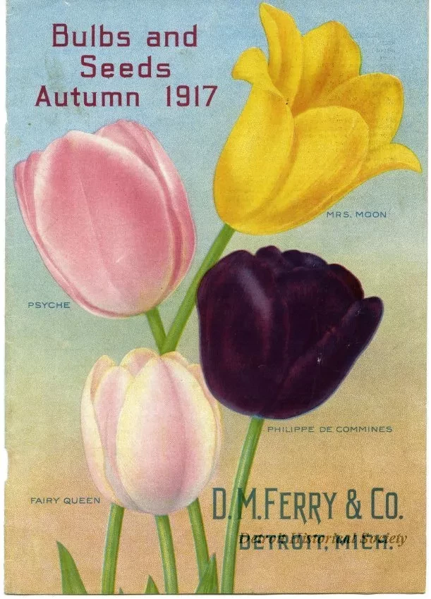 Catalog - Bulbs & Seeds Autumn 1917