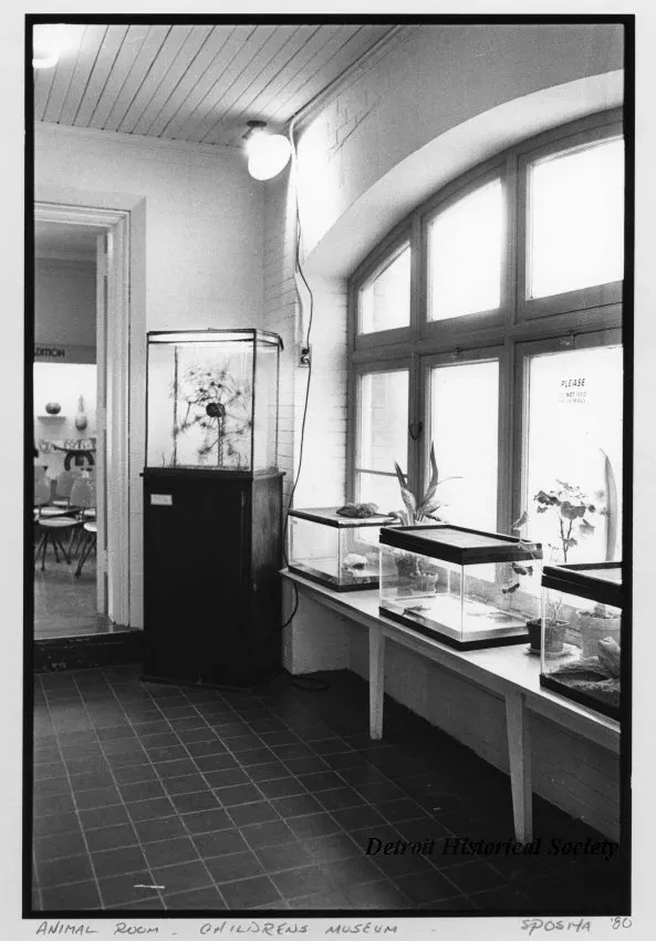 Print, Photographic - Animal Room - Children's Museum