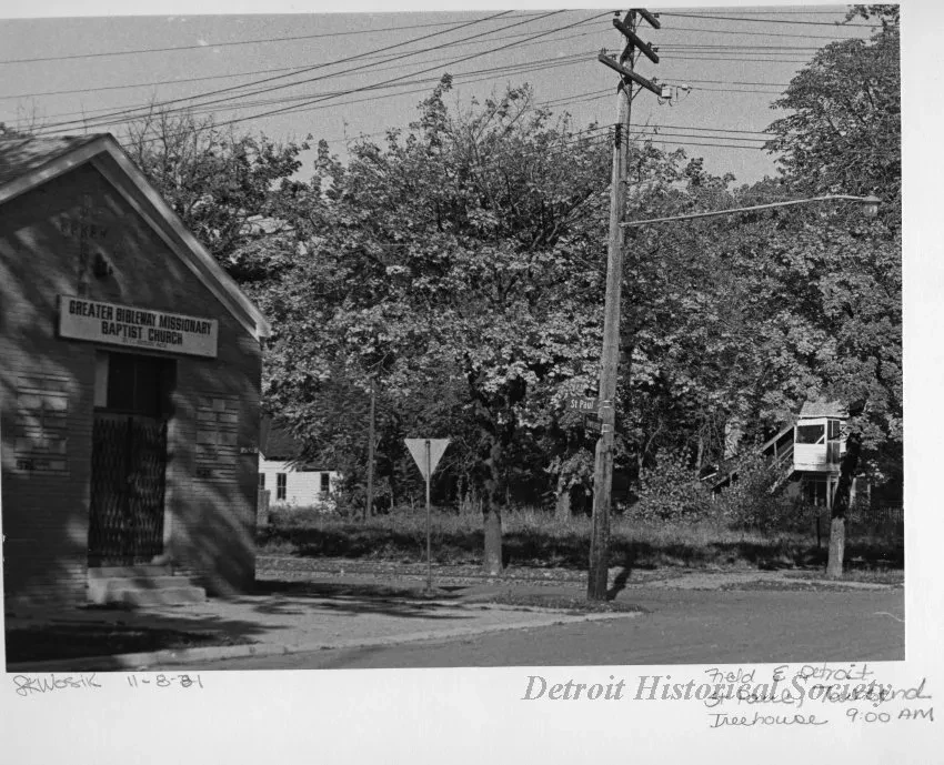 Print, Photographic - Field E Detroit; St Paul, Townsend; Treehouse 9:00 AM