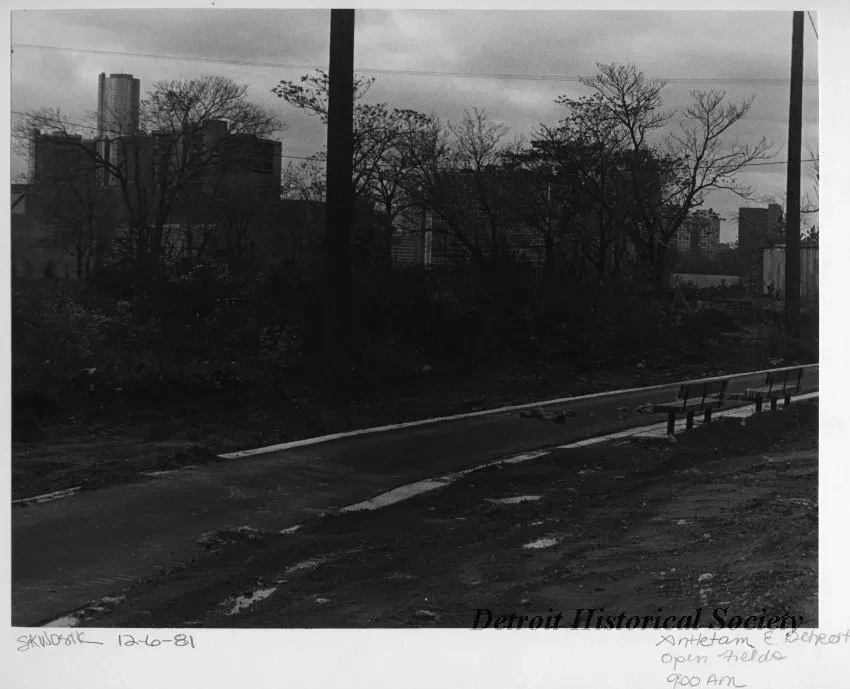 Print, Photographic - Antietam E Detroit, Open Fields, 9:00 AM