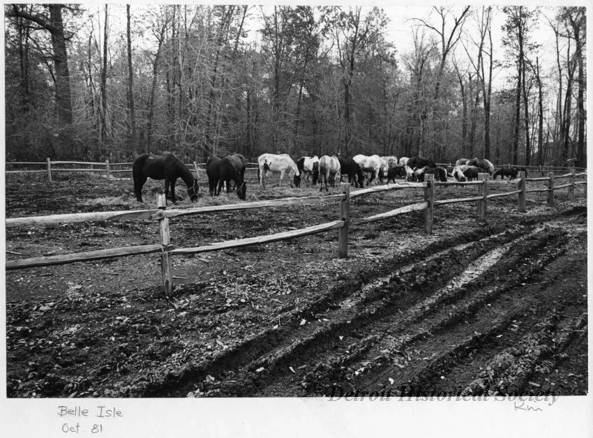Print, Photographic - Belle Isle