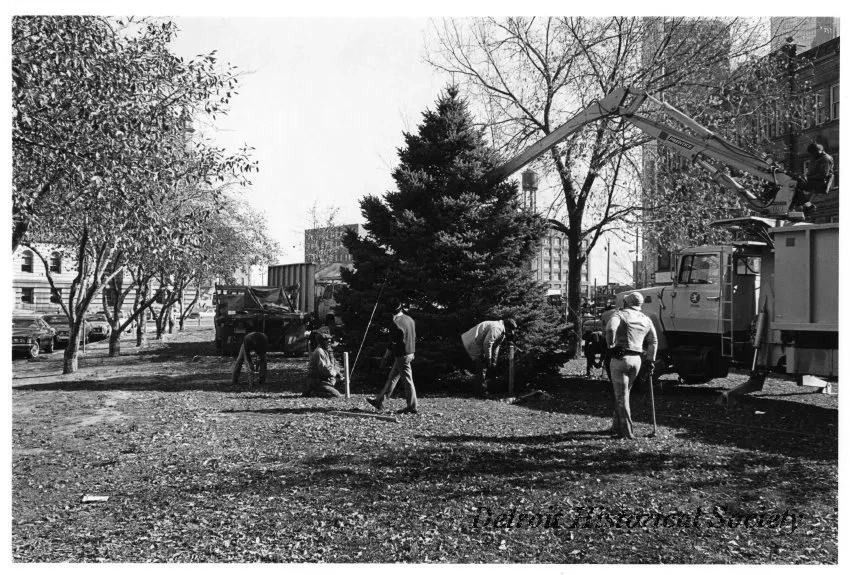 Print, Photographic - Tree Planting, Cadillac Square