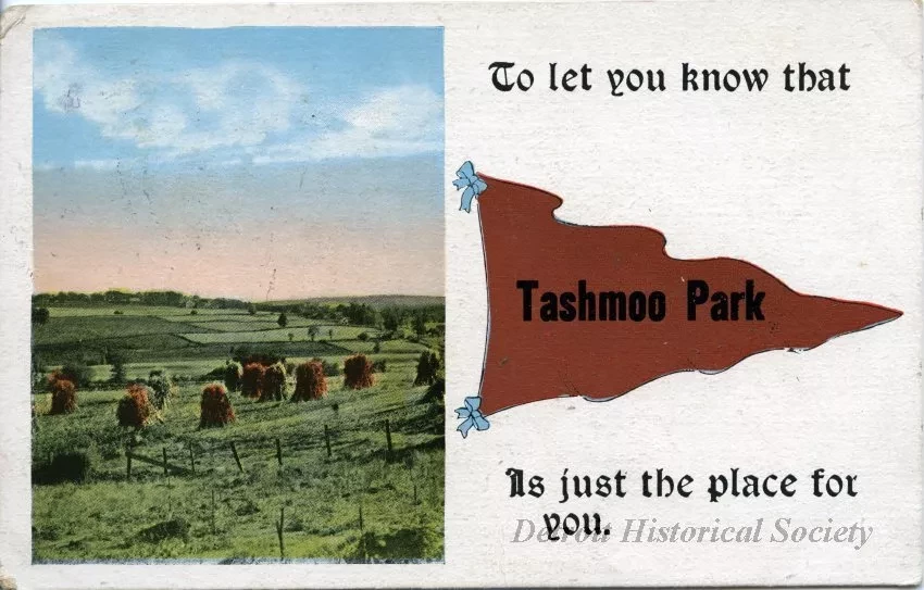 Postcard - To let you know that Tashmoo Park Is just the place for you.