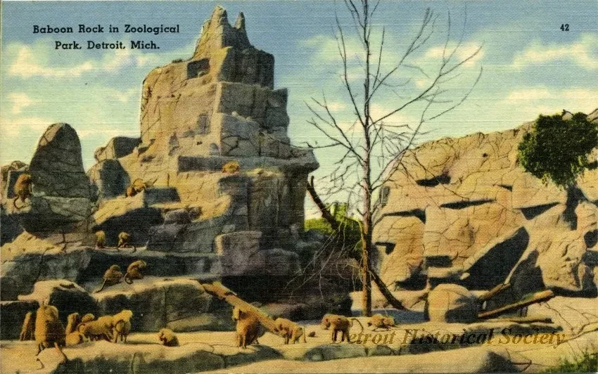Postcard - Baboon Rock in Zoological Park, Detroit, Mich.