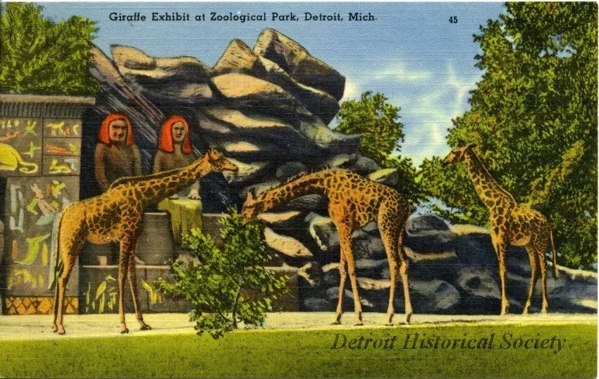 Postcard - Giraffe Exhibit at Zoological Park, Detroit, Mich.