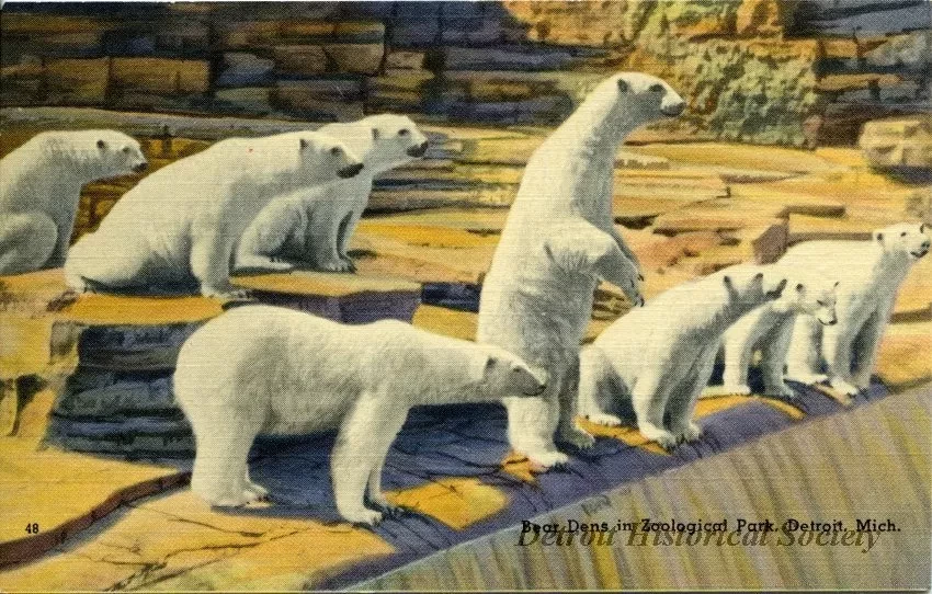 Postcard - Bear Dens in Zoological Park, Detroit, Mich.