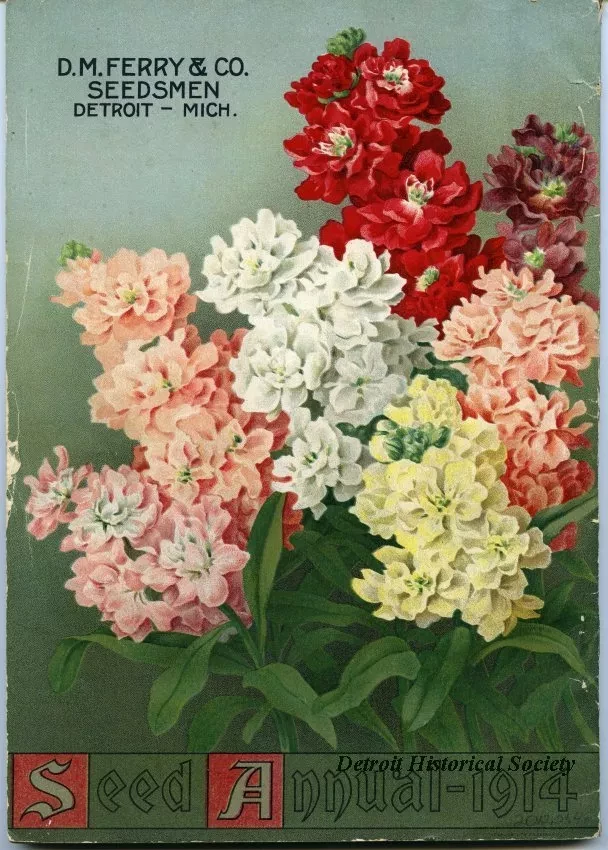 Catalog - Seed Annual, 1914