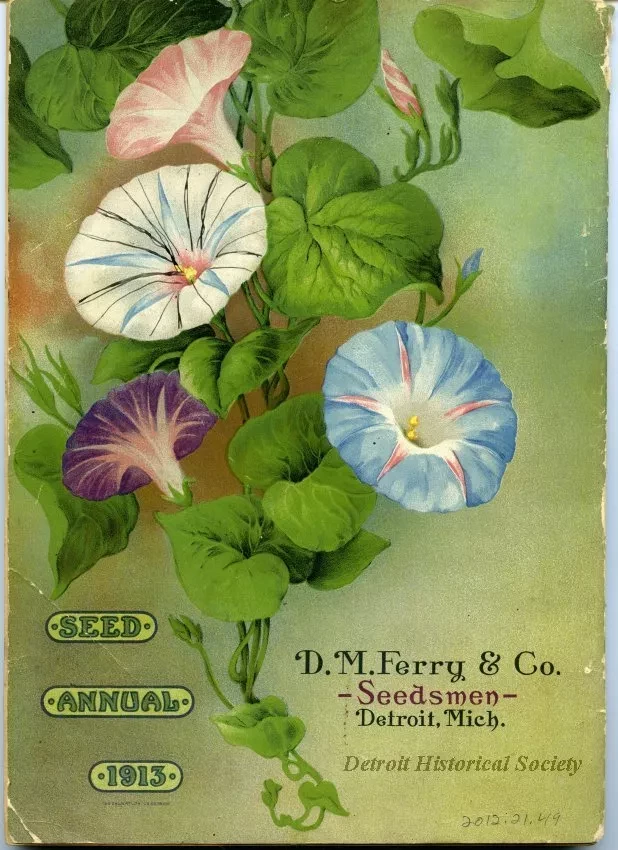 Catalog - Seed Annual 1913