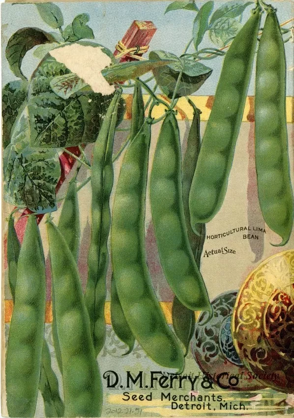 Catalog - 1893 Seed Annual