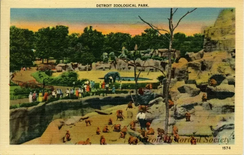 Postcard - Detroit Zoological Park.
