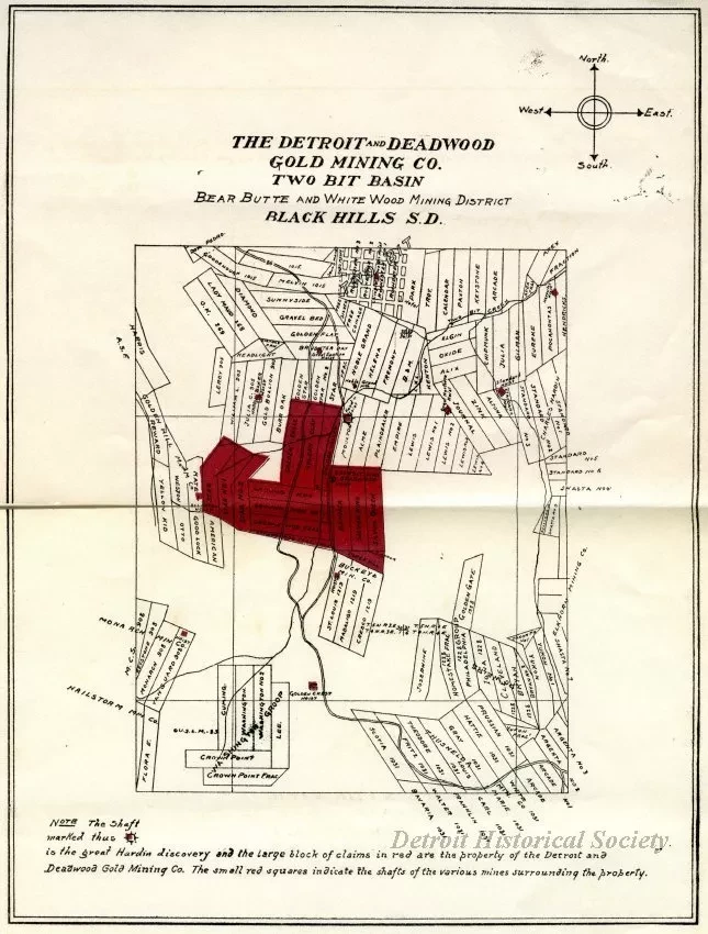 Prospectus - Detroit and Deadwood Gold Mining Company