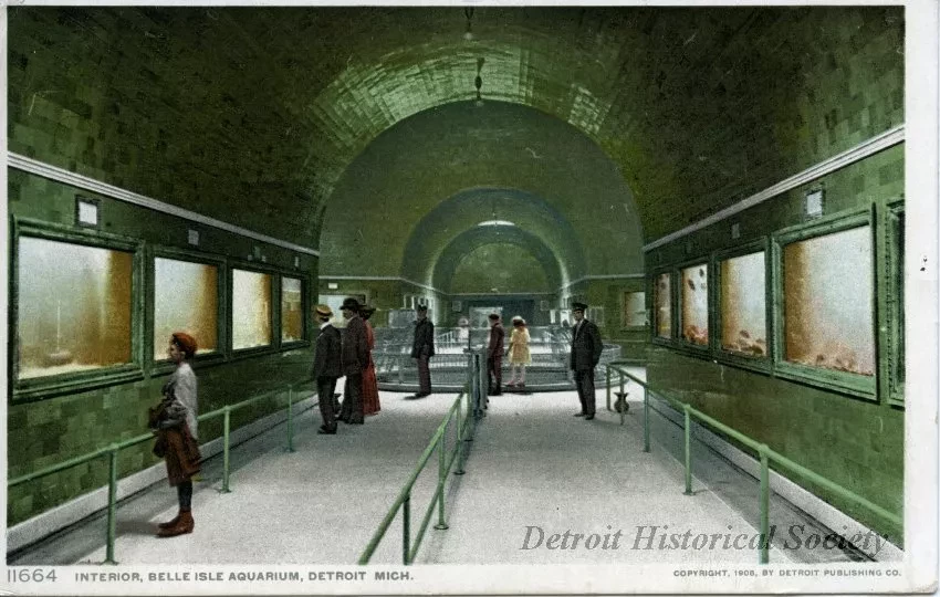 Postcard - Interior, Belle Isle Aquarium, Detroit, Mich.