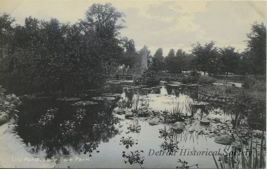 Postcard - Lily Pond, Belle Isle Park