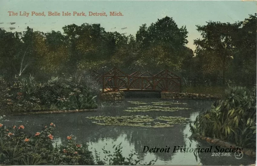 Postcard - The Lily Pond, Belle Isle Park, Detroit, Mich.