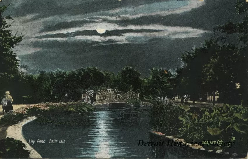 Postcard - Lily Pond, Belle Isle.