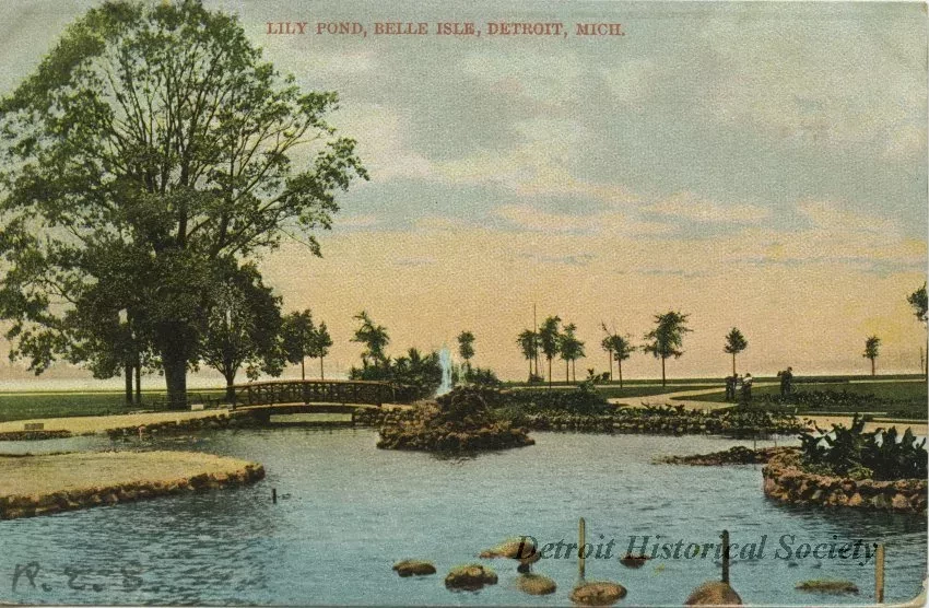 Postcard - Lily Pond, Belle Isle, Detroit, Mich.