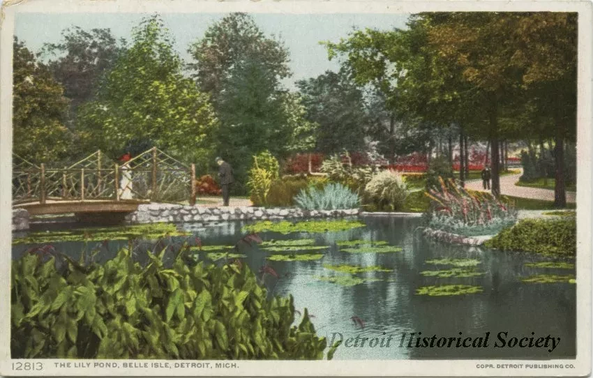 Postcard - The Lily Pond, Belle Isle, Detroit, Mich.