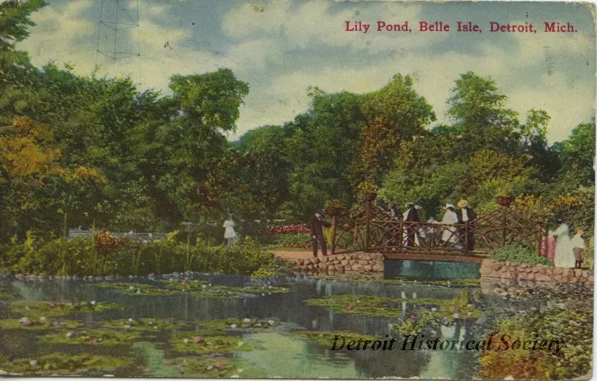 Postcard - Lily Pond, Belle Isle, Detroit, Mich.
