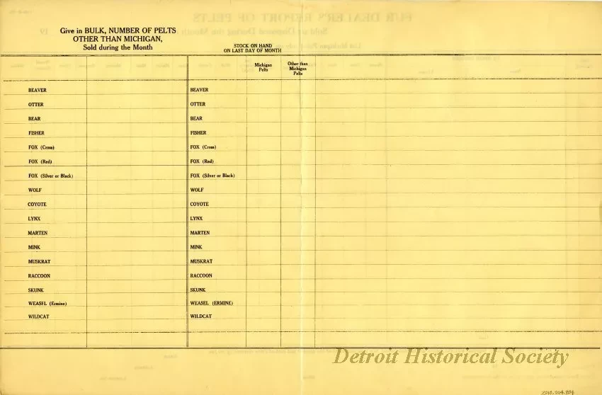 Paper, Form - Fur Dealer's Report of Pelts