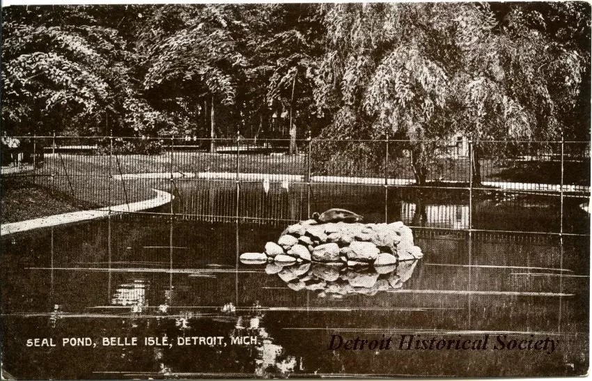 Postcard - Seal Pond, Belle Isle, Detroit, Mich.