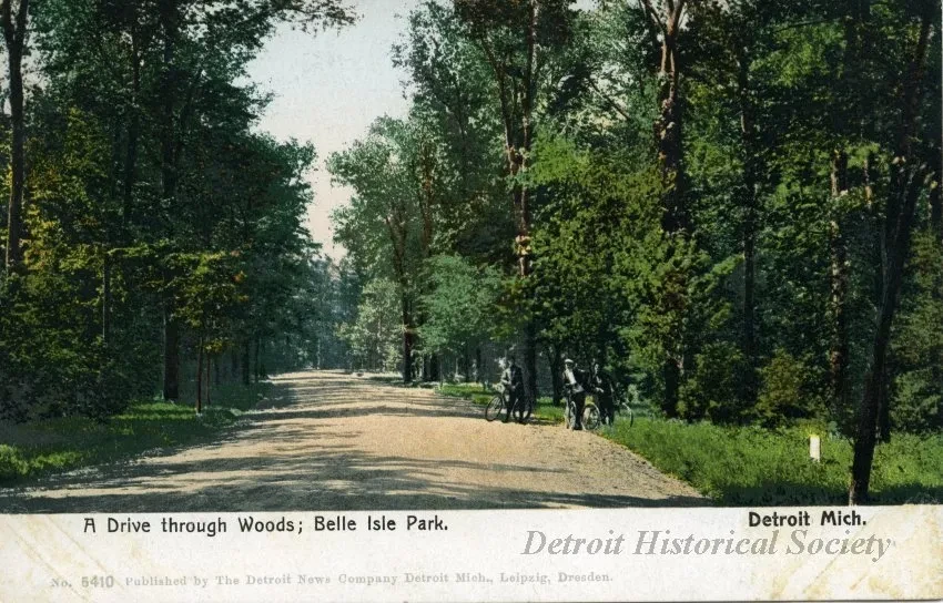 Postcard - A Drive through Woods; Belle Isle Park, Detroit, Mich.