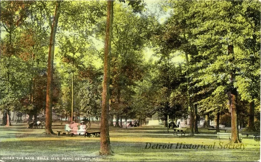 Postcard - Under the Oaks, Belle Isle Park, Detroit, Mich.