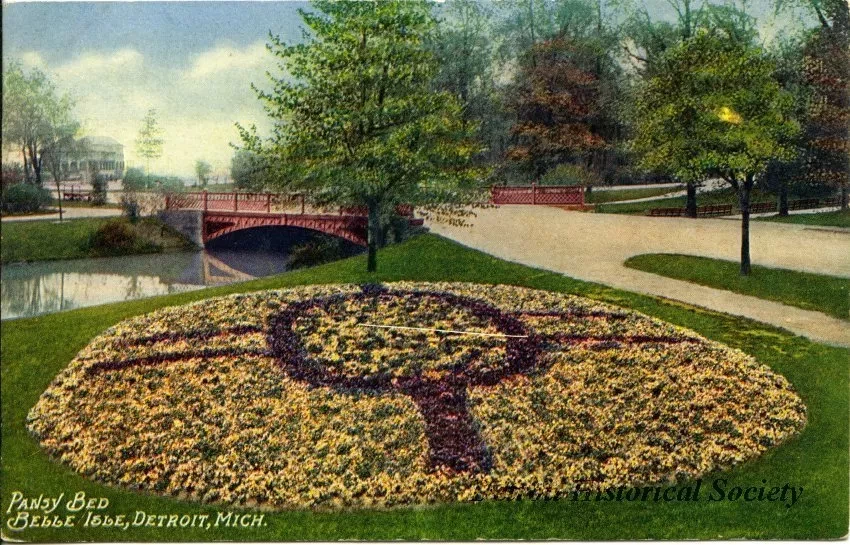Postcard - Pansy Bed, Belle Isle, Detroit, Mich.