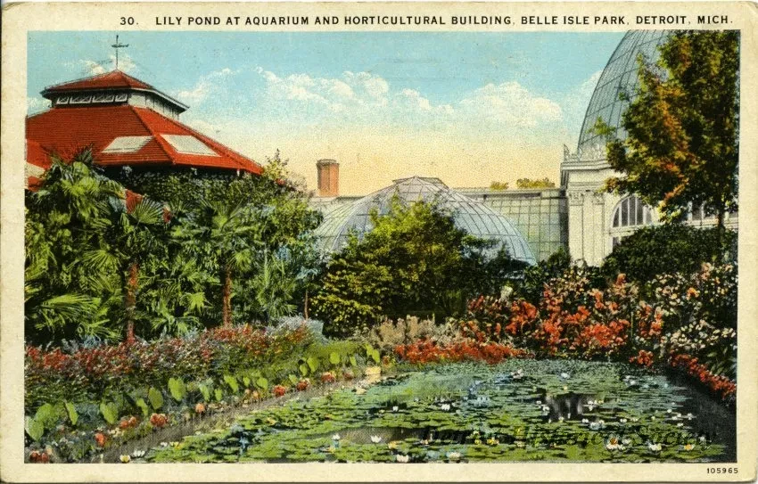 Postcard - Lily Pond at Aquarium and Horticultural Building, Belle Isle Park, Detroit, Mich.