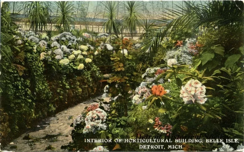 Postcard - Interior of Horticultural Building, Belle Isle, Detroit, Mich.