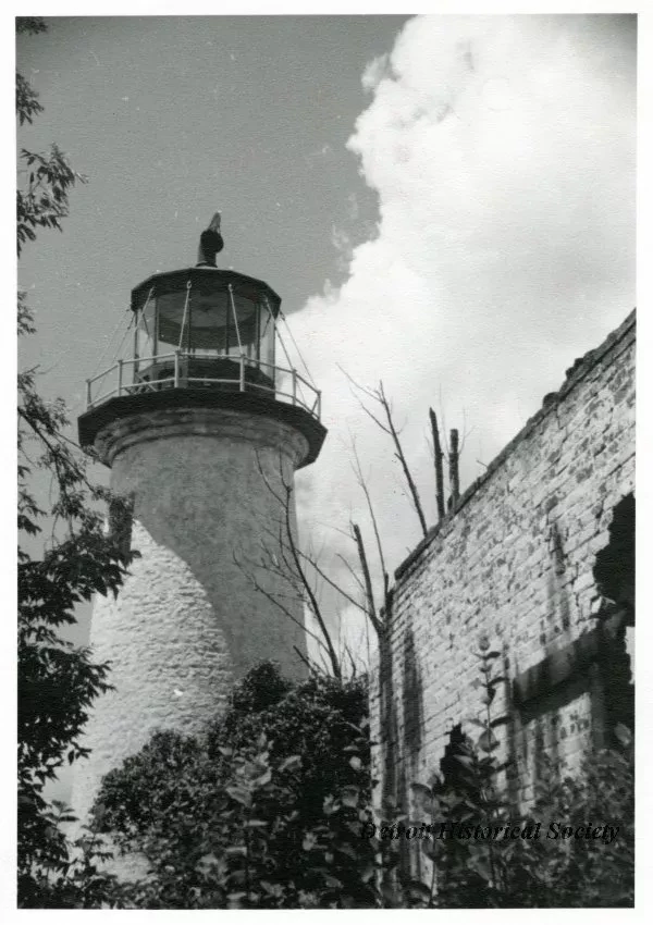 Print, Photographic - On Guard