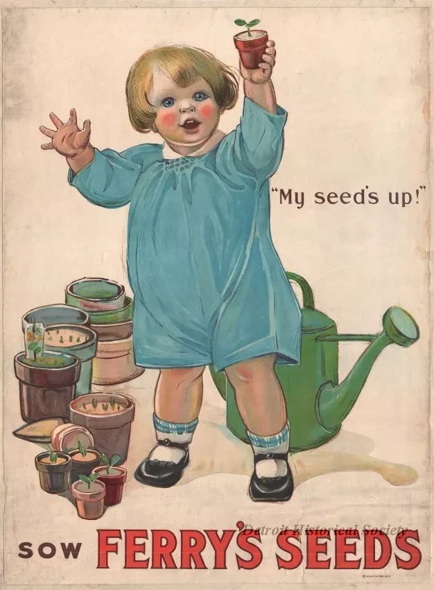 Poster - My Seeds Up!