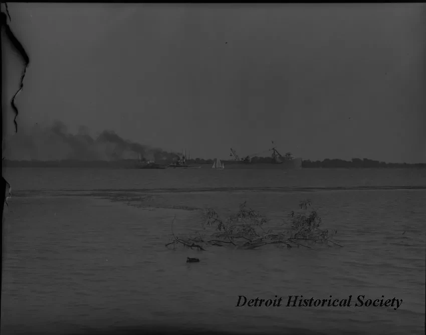Negative, Glass-plate