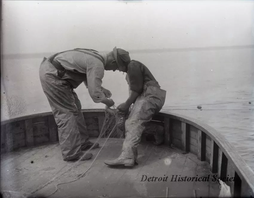 Negative, Glass-plate