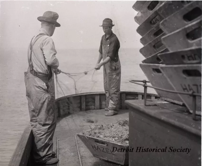 Negative, Glass-plate