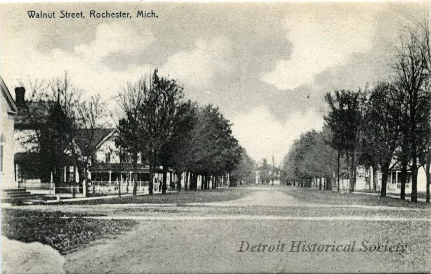 Postcard - Walnut Street, Rochester, Mich.