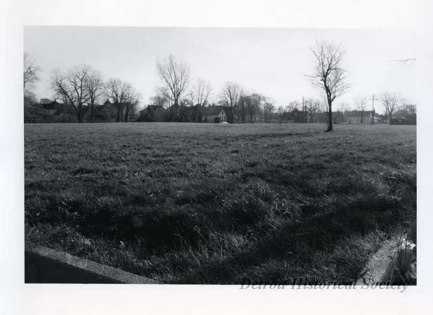 Print, Photographic - 2400 Block Selden and 3900 Block 16th, Detroit, Mi