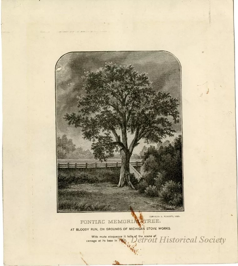 Etching - Pontiac Memorial Tree