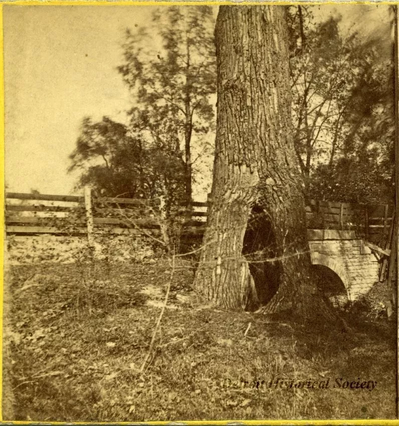 Stereograph - No. 85 Bloody Run