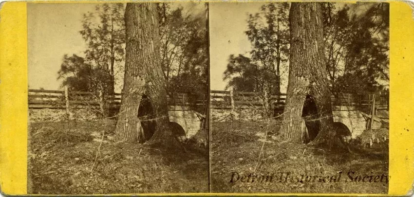 Stereograph - No. 85 Bloody Run