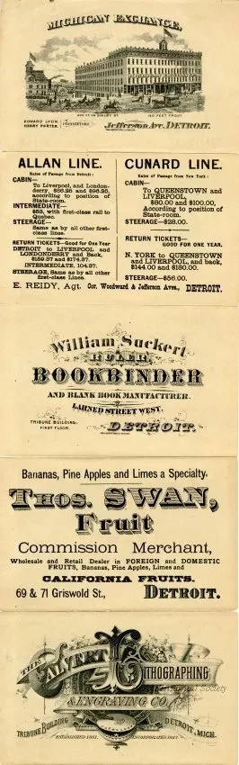 Strip, Comic - Comicalities of the Cricket Field