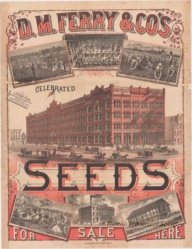 Poster - D.M. Ferry & Co.'s Celebrated Seeds
