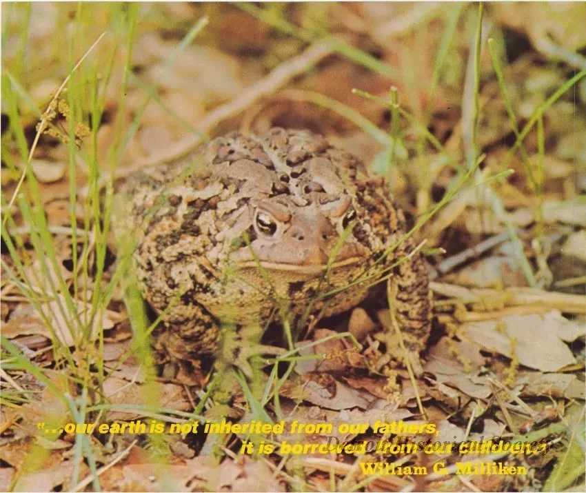 Poster - Environment
[Milliken for Michigan]