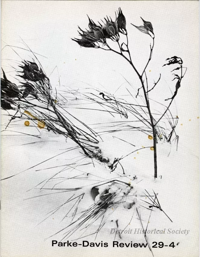 Magazine - Parke-Davis Review, vol. 29, no. 4, 1973